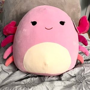 14” Cailey Squishmallow